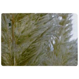Benjamin Tate Design Autumn Pampas Grass Close Up Designer Rug in Natural - Size: Large - thumbnail 1