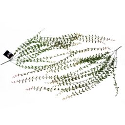 Leaf Pack of 12 x 120cm Artificial Hanging Extra Long String of Pearls in Green - Size: 12 x 120 cm - thumbnail 6