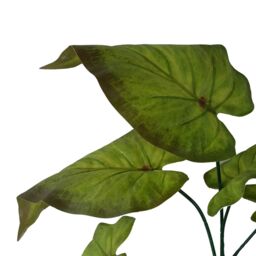 Leaf Pack of 6 x 50cm Artificial Green Plastic Stem - Size: 6 x 50 cm - thumbnail 3
