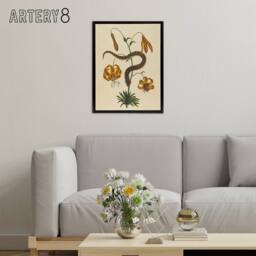 "Artery8 Hog Nose Snake & Tiger Lily Mark Catesby Black Framed Canvas Art in Beige - Size: W12"" x H16""" - thumbnail 3