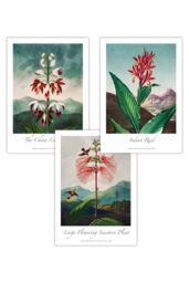 ARTZE Set of 3 Vintage Exotic Eastern Floral Art Posters in Green - Size: W59 cm x H84 cm - thumbnail 1