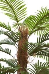 Garden Sanctuary 160cm Garden Artificial Palm Tree Potted for Home Decor in Green - thumbnail 4
