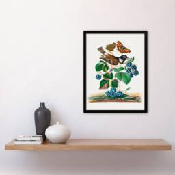 Artery8 Bramble Rubus Starling & Butterflies Bolton Framed Wall Art Print - Size: A4 - thumbnail 2