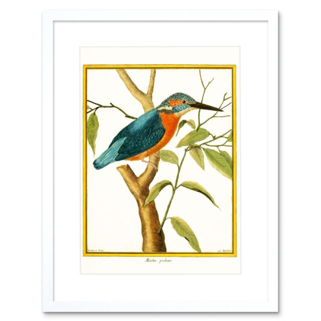"Artery8 Wall Art Print Bird Common Kingfisher Martin Pecheur Art Framed 9x7 inch in White - Size: W7"" x H9""" - image 1