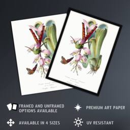 Artery8 Paul Gervais Hummingbird Butterfly & Flower Framed Wall Art Print in White - Size: A4 - thumbnail 2
