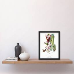 Artery8 Paul Gervais Hummingbird Butterfly & Flower Framed Wall Art Print in White - Size: A4 - thumbnail 4