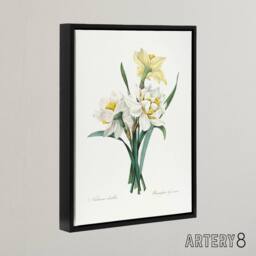 "Artery8 Daffodil Floral Illustration Redoute Black Framed Canvas Wall Art in White - Size: W12"" x H16""" - thumbnail 2
