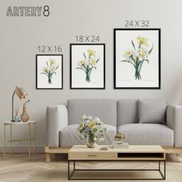 "Artery8 Daffodil Floral Illustration Redoute Black Framed Canvas Wall Art in White - Size: W12"" x H16""" - thumbnail 4