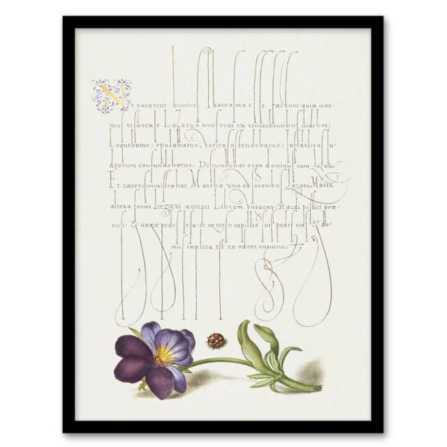 Artery8 Ladybird & Wild Pansy Calligraphy Framed Wall Art Print in White - Size: A4 - image 1