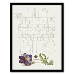 Artery8 Ladybird & Wild Pansy Calligraphy Framed Wall Art Print in White - Size: A4 - thumbnail 1