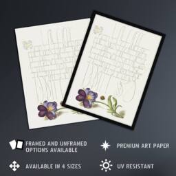 Artery8 Ladybird & Wild Pansy Calligraphy Framed Wall Art Print in White - Size: A4 - thumbnail 2