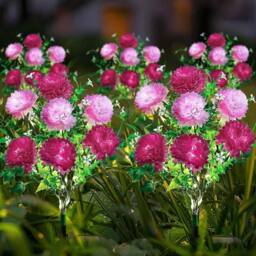 Havendro 2 Pack Purple small clove Solar Powered Lights Garden
