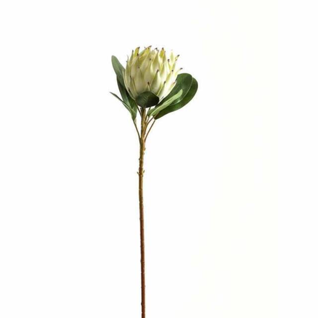 Lemon Pavilion Furniture and Decor Large Protea Artificial Plant - Plastic - L21 x W21 x H73 cm - White