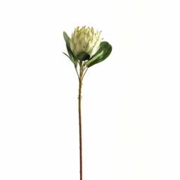 Lemon Pavilion Furniture and Decor Large Protea Artificial Plant - Plastic - L21 x W21 x H73 cm - White - thumbnail 1