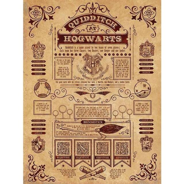 Harry Potter Quidditch At Hogwarts Framed Canvas Print in Brown - image 1