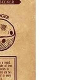 Harry Potter Quidditch At Hogwarts Framed Canvas Print in Brown - thumbnail 2