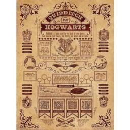 Harry Potter Quidditch At Hogwarts Framed Canvas Print in Brown - thumbnail 1