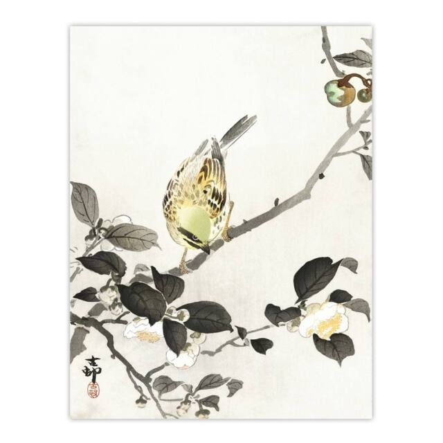 "Artery8 Bunting On Blossom Branch Vintage Japan Wall Art Print Koson in Grey - Size: W12"" x H16""" - image 1