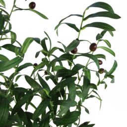 Leaf 120cm Natural Artificial Olive Tree in Green - thumbnail 4