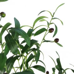Leaf 120cm Natural Artificial Olive Tree in Green - thumbnail 3