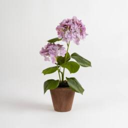 Scottish Everlastings Ltd 40cm Real Touch Lilac Hydrangea in Rustic Pot in Purple - thumbnail 3