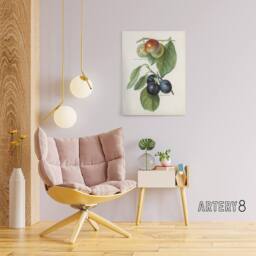 "Artery8 Vintage Illustration of Two Plum Varieties Wright Canvas Art Print in White - Size: W12"" x H16""" - thumbnail 3