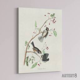 "Artery8 Canadian Titmouse Bird Audubon Nature Canvas Wall Art in White - Size: W18"" x H24""" - thumbnail 2