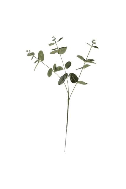 KDMD Essential Silver Green Eucalyptus 10 Pack - image 1