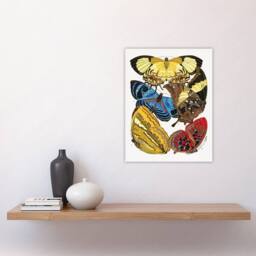 "Artery8 Vintage Butterflies Yellow Red Blue Vintage Wall Art Print Seguy - Size: W18"" x H24""" - thumbnail 4