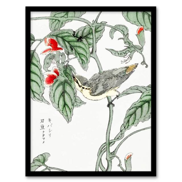 Artery8 Tree Creeper Pea Japanese Vintage Japan Framed Wall Art Print Kashu - Size: A4 - image 1