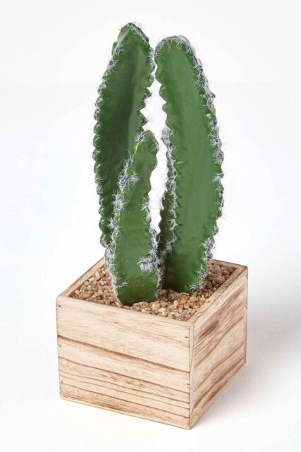 Homescapes Artificial Cactus Plant In Wooden Pot, 33 cm Tall in Green - image 1