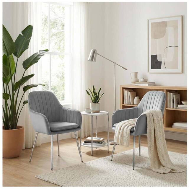 Alivio Set of 2 Upholstered Velvet Dining Arm Chairs with Removable Cushion in Grey - image 1