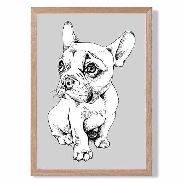 ARTZE Sketch French Bulldog on Light Grey Framed Print SIZE: A4 with Oak Frame - Size: A2 - image 1