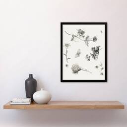 Artery8 Theo van Hoytema Framed Wall Art Flowers Leaves & Butterfly Drawing in White - Size: A4 - thumbnail 2