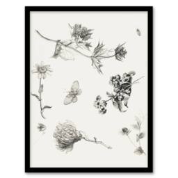 Artery8 Theo van Hoytema Framed Wall Art Flowers Leaves & Butterfly Drawing in White - Size: A4 - thumbnail 1