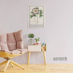 "Artery8 Blooming Peony Flower Anselmus de Boodt Canvas Wall Art Print in White - Size: W12"" x H16""" - thumbnail 3