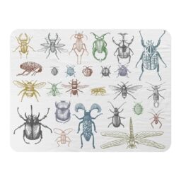 Benjamin Tate Design many species in vintage old hand drawn style Designer Blanket in Natural - Size: 120 cm x 150 cm - thumbnail 1