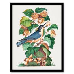 Artery8 Nuthatch Bird Hazel Oak & Bramble Bolton Framed Wall Art Print - Size: A4 - thumbnail 1