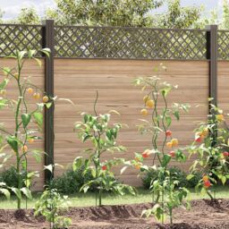 Berkfield Home Spiral Plant Supports 5 pcs 110 cm Steel in Green - thumbnail 1