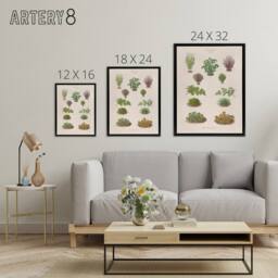 "Artery8 Botanical Bushes Varieties Ernst Benary Framed Canvas Wall Art Print in White - Size: W12"" x H16""" - thumbnail 4