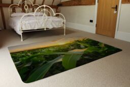 Benjamin Tate Design Field At Sunset Designer Rug Designer Rug in Natural - Size: Large - thumbnail 3