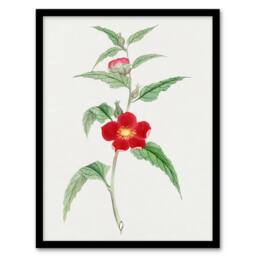 Artery8 Pomegranate Flower Japan Framed Wall Art Print Vintage Japanese Floral in Green - Size: A4 - thumbnail 1