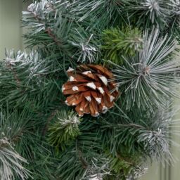 Samuel Alexander 60cm Frosted Glacier Snow Tipped Christmas Wreath with Pine Cones in Green - thumbnail 4
