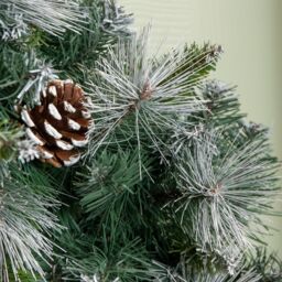 Samuel Alexander 60cm Frosted Glacier Snow Tipped Christmas Wreath with Pine Cones in Green - thumbnail 5