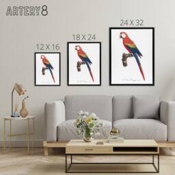 "Artery8 Scarlet Macaw Parrot Francois Levaillant Framed Canvas Wall Art Print in White - Size: W12"" x H16""" - thumbnail 4