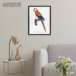 "Artery8 Scarlet Macaw Parrot Francois Levaillant Framed Canvas Wall Art Print in White - Size: W12"" x H16""" - thumbnail 3