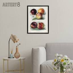 "Artery8 Vintage Fruit Illustration Peach Varieties Wright Framed Canvas Art in White - Size: W12"" x H16""" - thumbnail 3