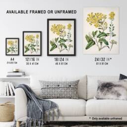 Artery8 New Zealand Brachyglottis Daisy Flowers Featon Framed Wall Art Print in Beige - Size: A4 - thumbnail 3