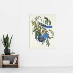 "Artery8 Florida Jay & Persimmon Tree Audubon Nature Wall Art Print Poster in White - Size: W12"" x H16""" - thumbnail 4
