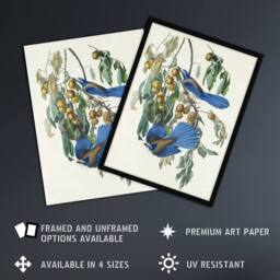 "Artery8 Florida Jay & Persimmon Tree Audubon Nature Wall Art Print Poster in White - Size: W12"" x H16""" - thumbnail 2